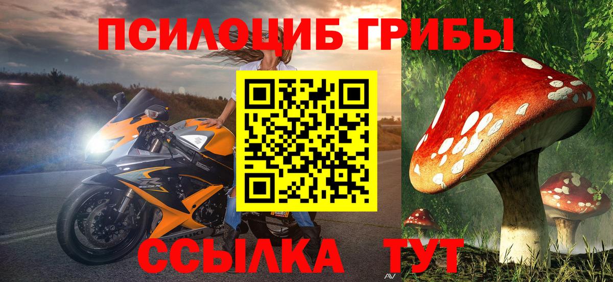 Псилоцибиновые грибы ЛСД Горячий Ключ